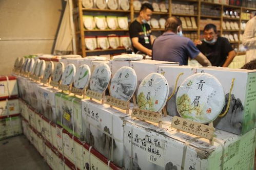 2020第八届中国 呼和浩特 茶产业博览会今日盛大启幕